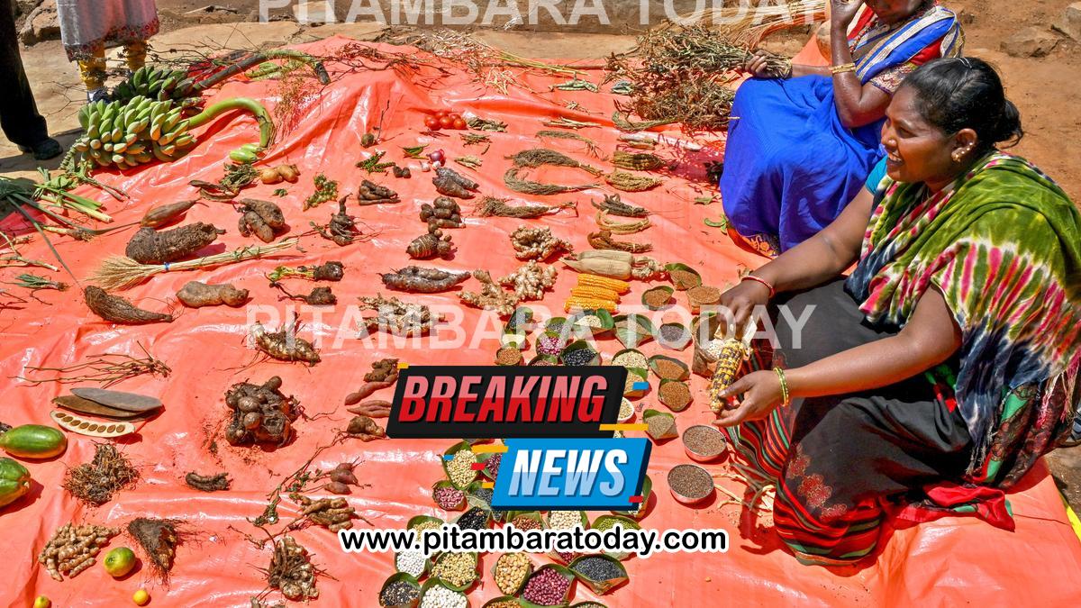 From hills to markets: Indigenous seeds make a comeback in Andhra Pradesh