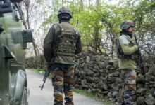 Search operation launched after suspicious movement in J&K's Samba