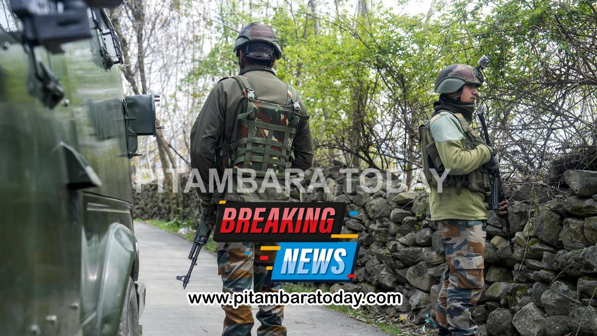 Search operation launched after suspicious movement in J&K's Samba