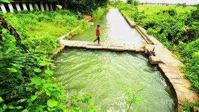 A delayed monsoon, an emerging El Nino and the long shadow of India’s Great Famine