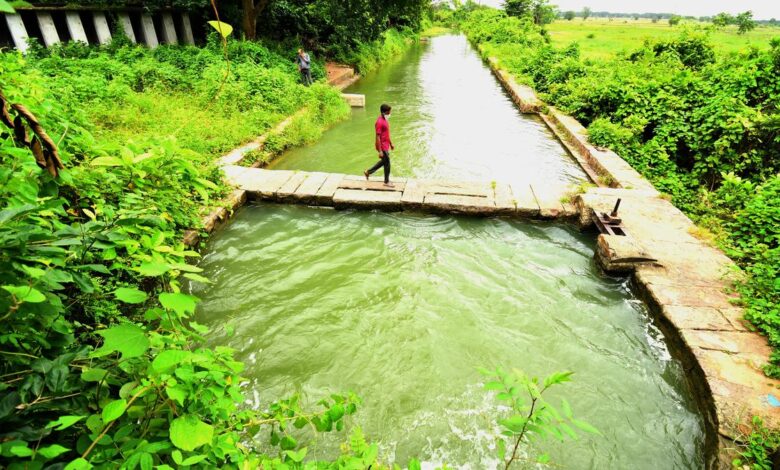 A delayed monsoon, an emerging El Nino and the long shadow of India’s Great Famine