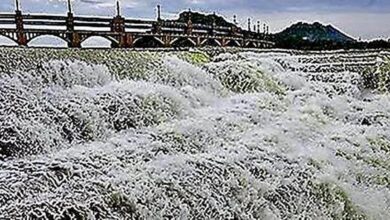 Water level in Mettur Dam stands at 81.69 feet