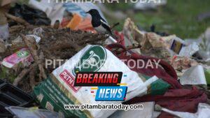 Community efforts revitalise Nanmangalam lake amid environmental challenges