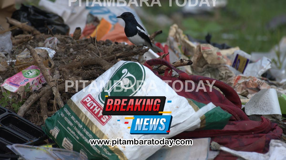 Community efforts revitalise Nanmangalam lake amid environmental challenges
