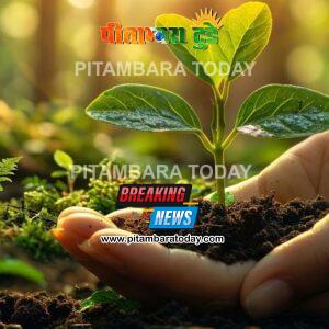 पेड़-पौधों का ज्योतिष कनेक्शन: 100 यज्ञों के बराबर पुण्य देता है सिर्फ एक पौधा! जानें किस्मत चमकाने वाली 11 जादुई बातें