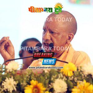 प्राकृतिक खेती से बदल रही यूपी की तस्वीर: 2.60 लाख किसानों की बढ़ी आय, कम लागत में ज्यादा मुनाफा
