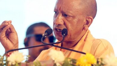 प्राकृतिक खेती से बदल रही यूपी की तस्वीर: 2.60 लाख किसानों की बढ़ी आय, कम लागत में ज्यादा मुनाफा