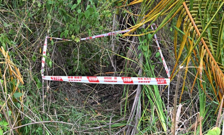 Sulur sexual assault-cum-murder case: witnesses identify main accused