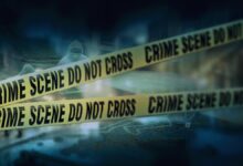 Delhi University assistant professor found murdered in east Delhi flat, case registered